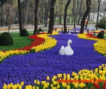 EMİRGAN LALE FESTİVALİ TURU 12 NİSAN 2025